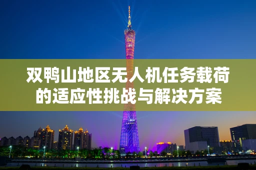 双鸭山地区无人机任务载荷的适应性挑战与解决方案
