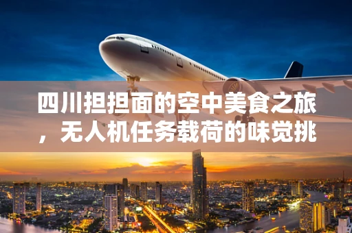 四川担担面的空中美食之旅，无人机任务载荷的味觉挑战