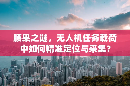 腰果之谜，无人机任务载荷中如何精准定位与采集？