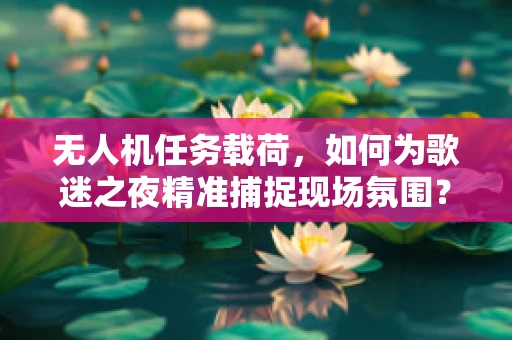 无人机任务载荷，如何为歌迷之夜精准捕捉现场氛围？