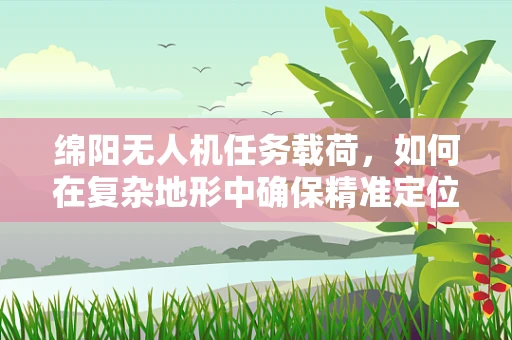 绵阳无人机任务载荷，如何在复杂地形中确保精准定位？