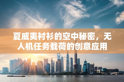 夏威夷衬衫的空中秘密，无人机任务载荷的创意应用