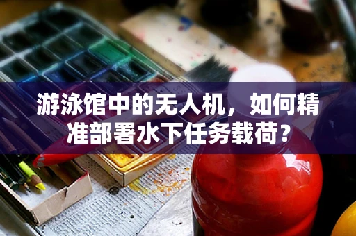 游泳馆中的无人机，如何精准部署水下任务载荷？