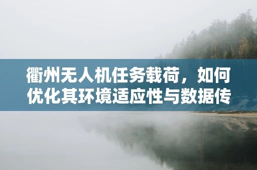 衢州无人机任务载荷，如何优化其环境适应性与数据传输效率？