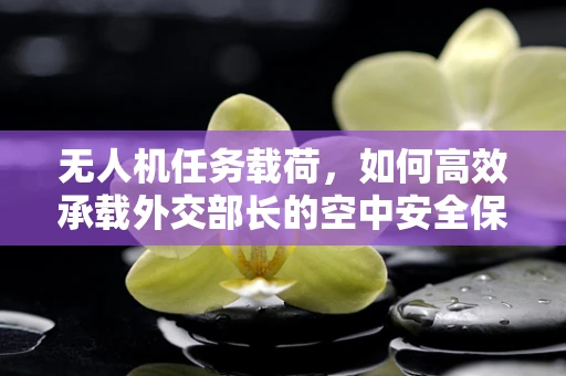 无人机任务载荷，如何高效承载外交部长的空中安全保障？