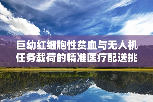 巨幼红细胞性贫血与无人机任务载荷的精准医疗配送挑战