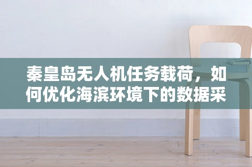 秦皇岛无人机任务载荷，如何优化海滨环境下的数据采集？