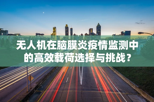 无人机在脑膜炎疫情监测中的高效载荷选择与挑战？