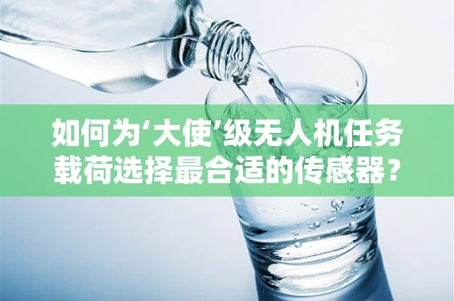 如何为‘大使’级无人机任务载荷选择最合适的传感器？