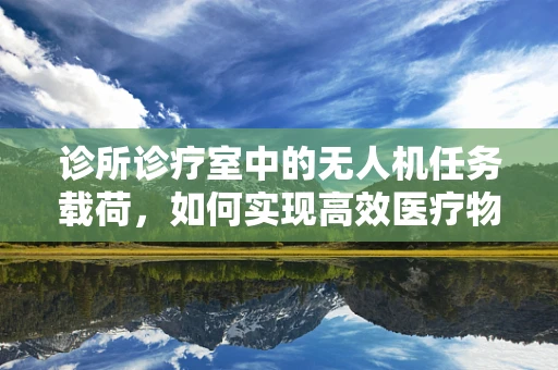 诊所诊疗室中的无人机任务载荷，如何实现高效医疗物资的精准配送？