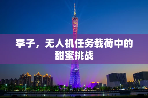 李子，无人机任务载荷中的甜蜜挑战