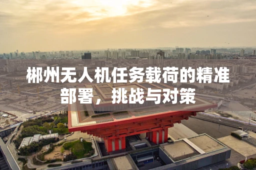 郴州无人机任务载荷的精准部署，挑战与对策
