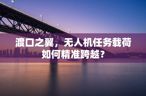 渡口之翼，无人机任务载荷如何精准跨越？