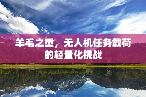 羊毛之重，无人机任务载荷的轻量化挑战