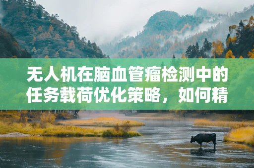 无人机在脑血管瘤检测中的任务载荷优化策略，如何精准捕捉？