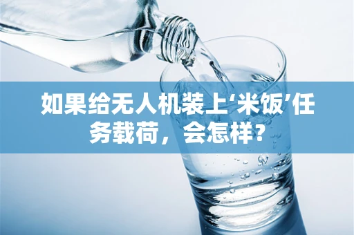 如果给无人机装上‘米饭’任务载荷，会怎样？