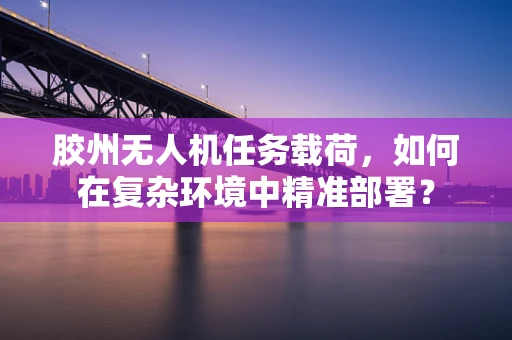 胶州无人机任务载荷，如何在复杂环境中精准部署？