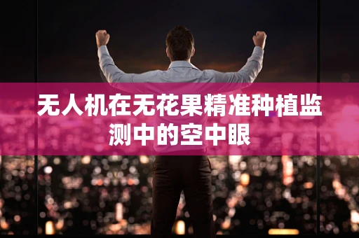 无人机在无花果精准种植监测中的空中眼