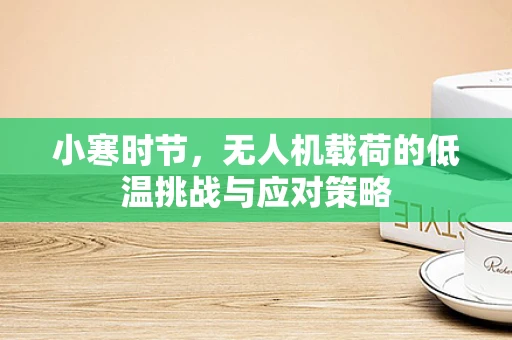 小寒时节，无人机载荷的低温挑战与应对策略