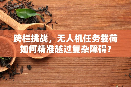 跨栏挑战，无人机任务载荷如何精准越过复杂障碍？