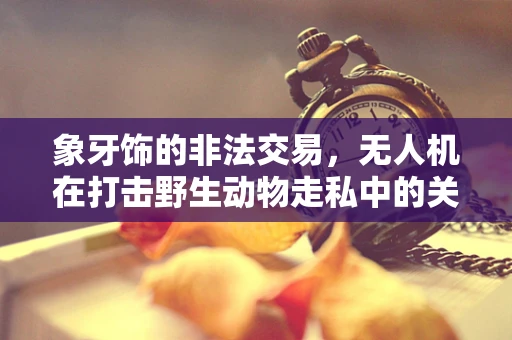 象牙饰的非法交易，无人机在打击野生动物走私中的关键角色？