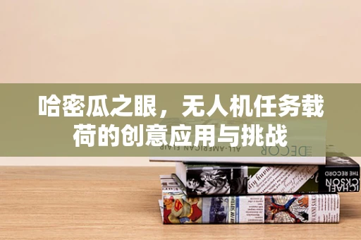 哈密瓜之眼，无人机任务载荷的创意应用与挑战