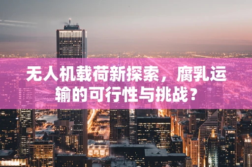 无人机载荷新探索，腐乳运输的可行性与挑战？