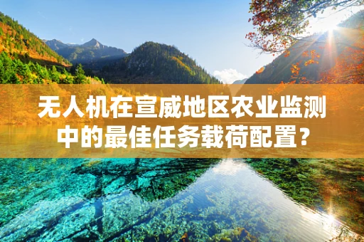 无人机在宣威地区农业监测中的最佳任务载荷配置？
