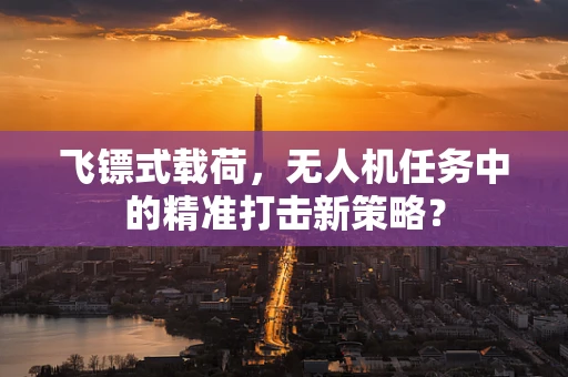 飞镖式载荷，无人机任务中的精准打击新策略？