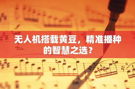 无人机搭载黄豆，精准播种的智慧之选？