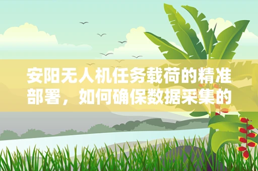 安阳无人机任务载荷的精准部署，如何确保数据采集的时效性与准确性？