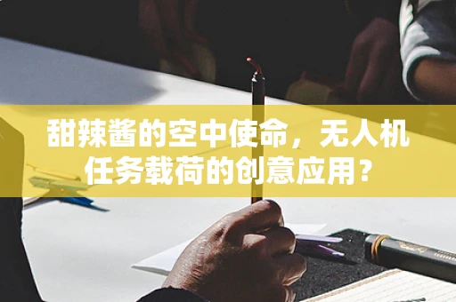 甜辣酱的空中使命，无人机任务载荷的创意应用？