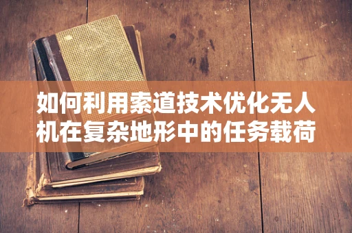 如何利用索道技术优化无人机在复杂地形中的任务载荷传输？