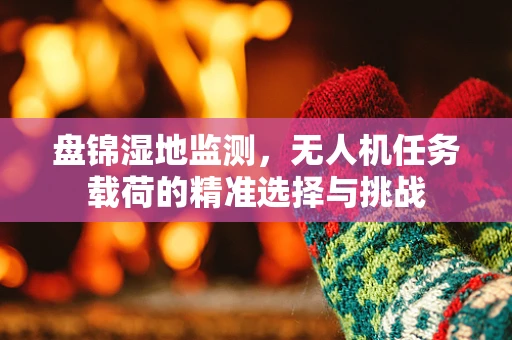 盘锦湿地监测，无人机任务载荷的精准选择与挑战