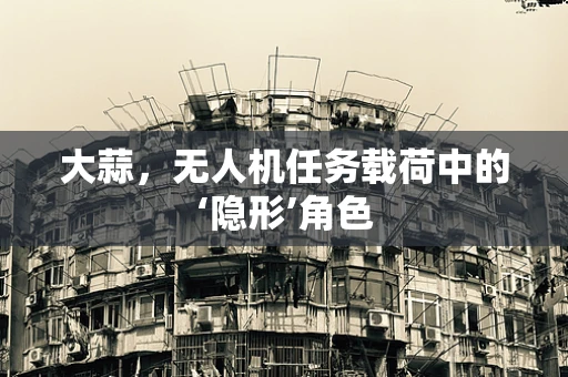 大蒜，无人机任务载荷中的‘隐形’角色