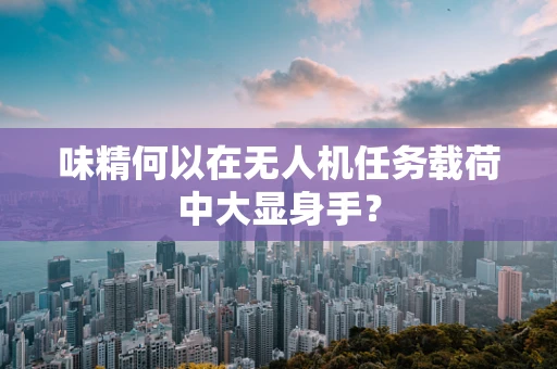 味精何以在无人机任务载荷中大显身手？