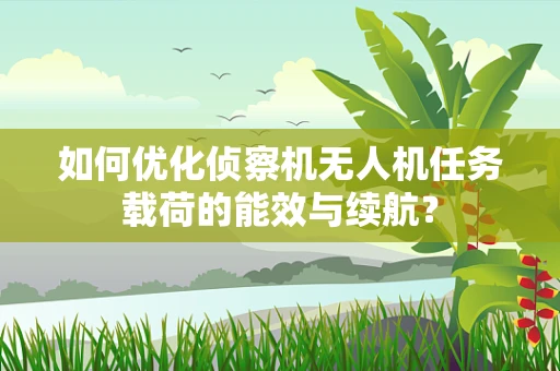 如何优化侦察机无人机任务载荷的能效与续航？