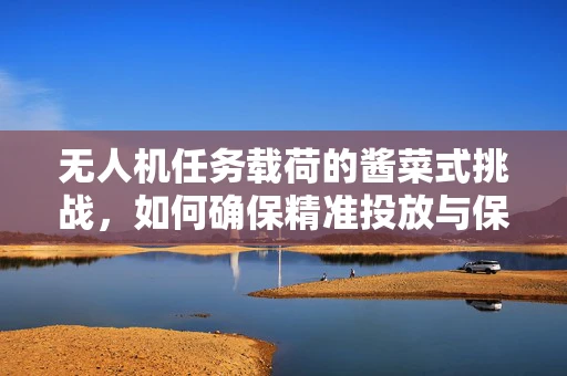 无人机任务载荷的酱菜式挑战，如何确保精准投放与保鲜？