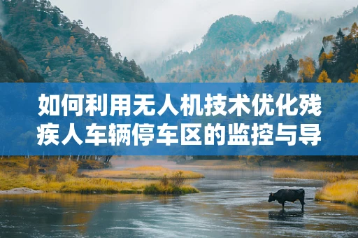 如何利用无人机技术优化残疾人车辆停车区的监控与导航？