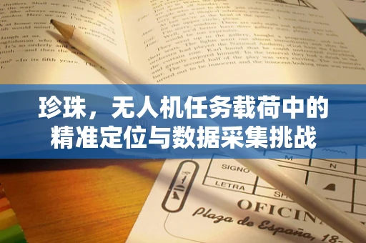 珍珠，无人机任务载荷中的精准定位与数据采集挑战