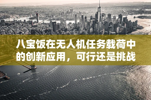 八宝饭在无人机任务载荷中的创新应用，可行还是挑战？