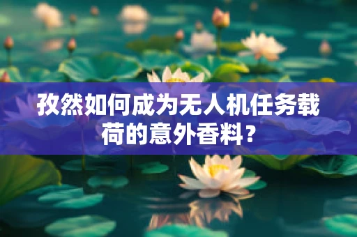 孜然如何成为无人机任务载荷的意外香料？