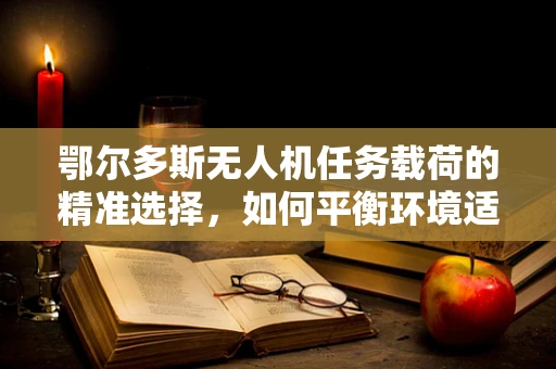 鄂尔多斯无人机任务载荷的精准选择，如何平衡环境适应与任务效率？