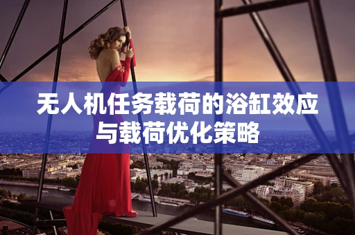 无人机任务载荷的浴缸效应与载荷优化策略
