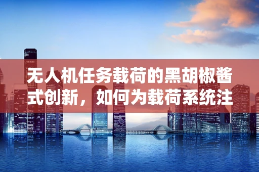 无人机任务载荷的黑胡椒酱式创新，如何为载荷系统注入灵活性与效率？