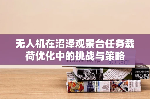 无人机在沼泽观景台任务载荷优化中的挑战与策略