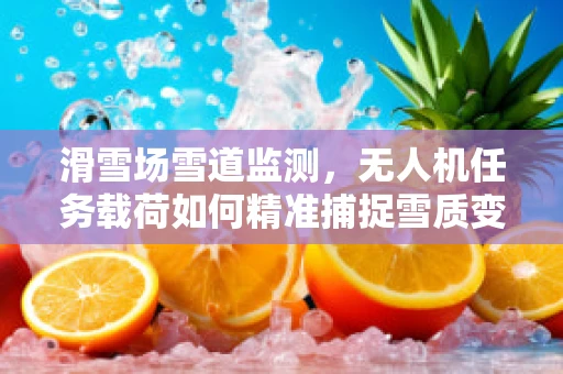 滑雪场雪道监测，无人机任务载荷如何精准捕捉雪质变化？