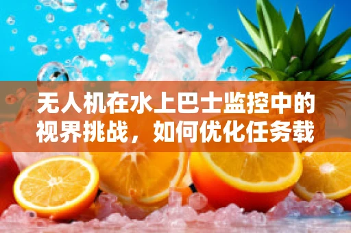 无人机在水上巴士监控中的视界挑战，如何优化任务载荷以提升监测精度？