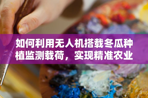如何利用无人机搭载冬瓜种植监测载荷，实现精准农业？