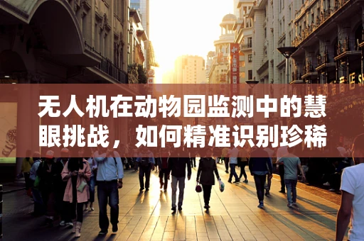 无人机在动物园监测中的慧眼挑战，如何精准识别珍稀动物行为？